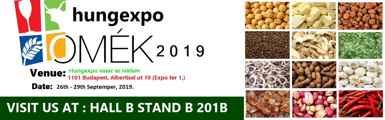 Hung_Expo_2019.jpg