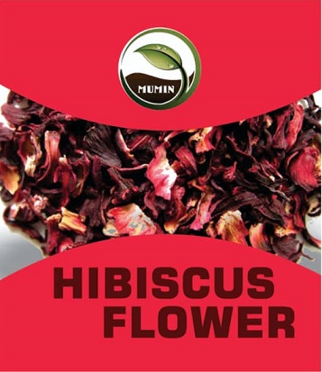 Habiscus_flower.jpg